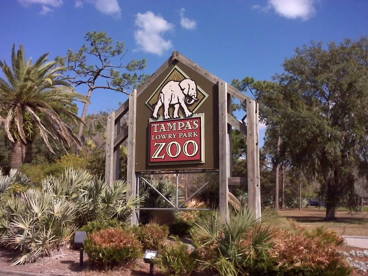 Budget Friendly Sleeps 8 Discounts Available Tampa United States